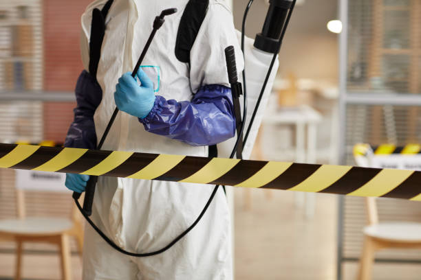 Professional Sewage Cleanup technician working in Port Murray, NJ
